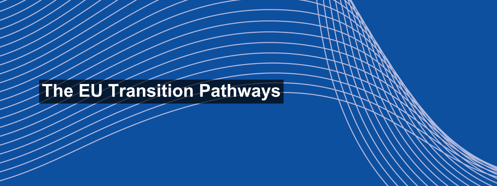 The EU Transition Pathways for