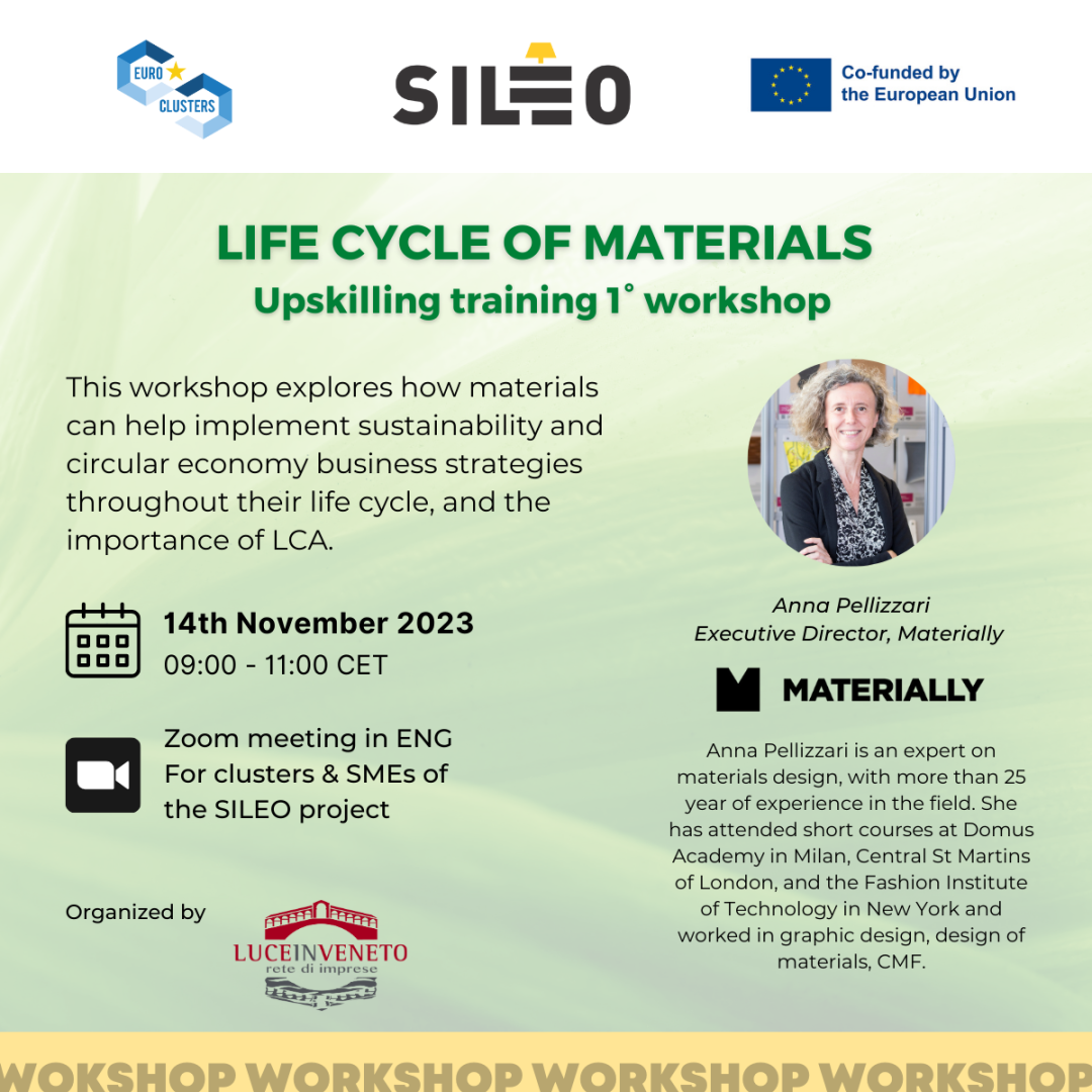 SILEO Upskilling training programme_1° workshop