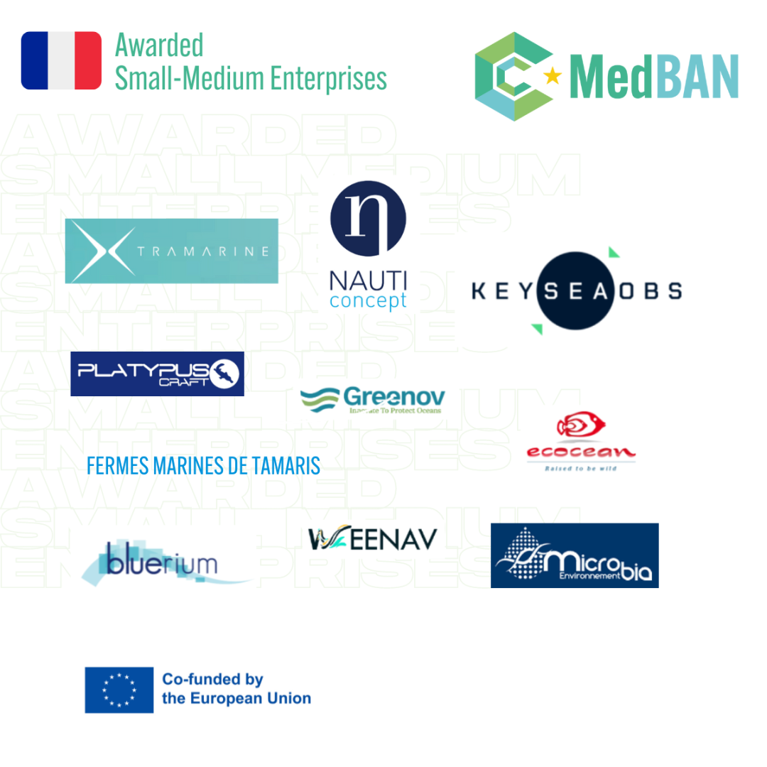 SMEs France