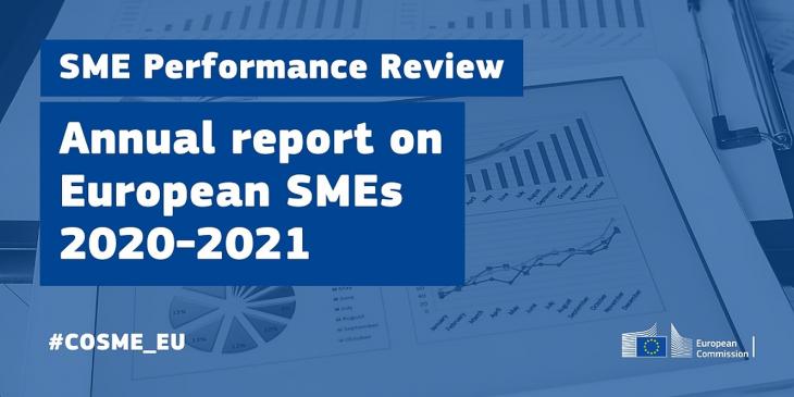 SME Annual report.v1