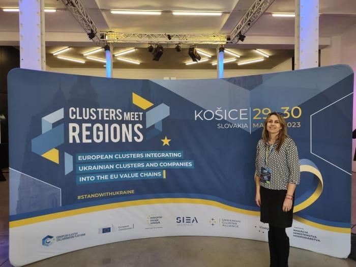 EPIX project at the Clusters meet Regions