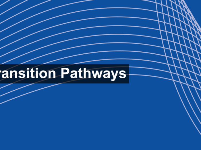 The EU Transition Pathways for