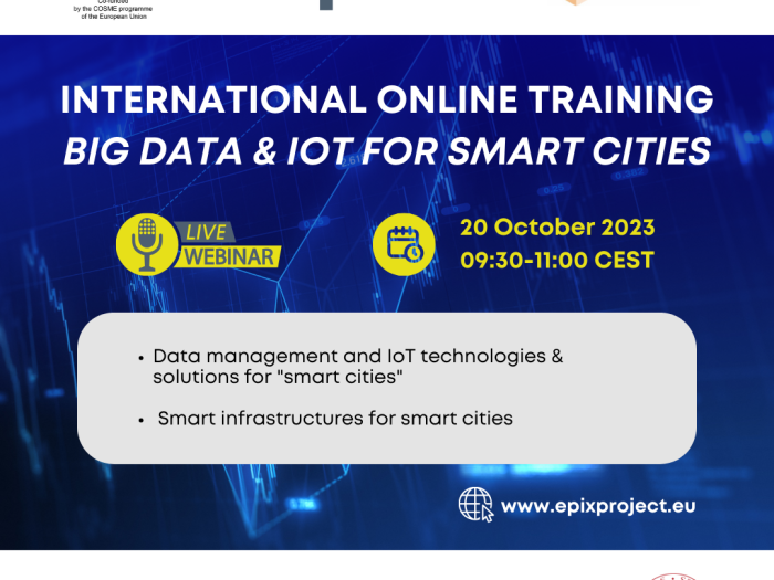 EPIX international online training workshop