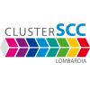 LOGO_Cluster6_square